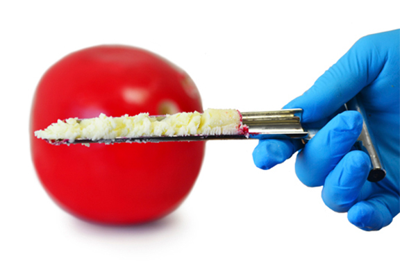 ステンレス 半固体用サンプラー